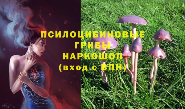 apvp Володарск