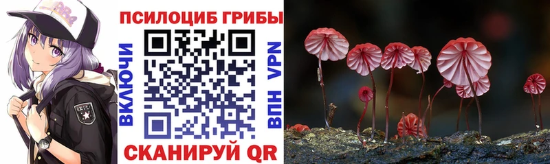 МЕГА рабочий сайт Жуков Псилоцибиновые грибы Cubensis купить наркотик
